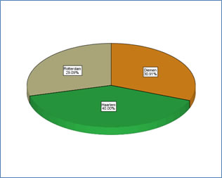 Example of a SPSS Pie chart