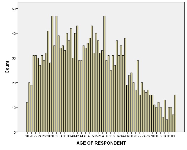bar chart of a scale variable